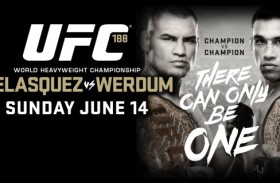 UFC 188: What We Learned From Velasquez vs. Werdum