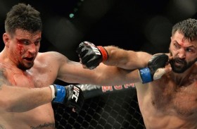 Mir vs. Arlovski: An Almost Perfect Game Plan