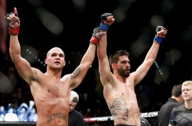 UFC 195: What is Effective Striking?